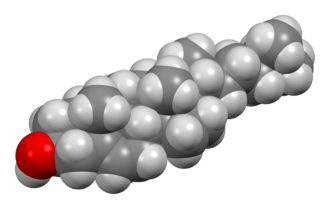 Space-filling model of cholesterol