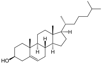 Chemical structure of cholesterol
