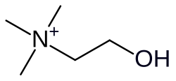 Choline cation skeletal formula