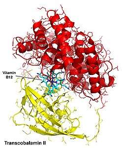 Human Trancscobalamin II (cobalamin trasport protein)