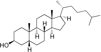 Skeletal formula of coprostanol