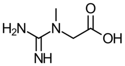 Skeletal formula of neutral form of creatine