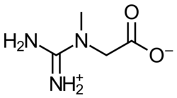 Skeletal formula of one of zwitterionic forms of creatine