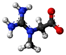 Ball and stick model of creatine