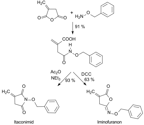 ildung von Itaconimiden und Iminofuranonen