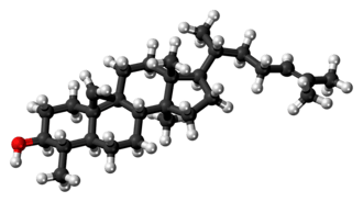 Ball-and-stick model of cycloartenol