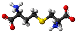 Ball-and-stick model of the cystathionine molecule as a zwitterion
