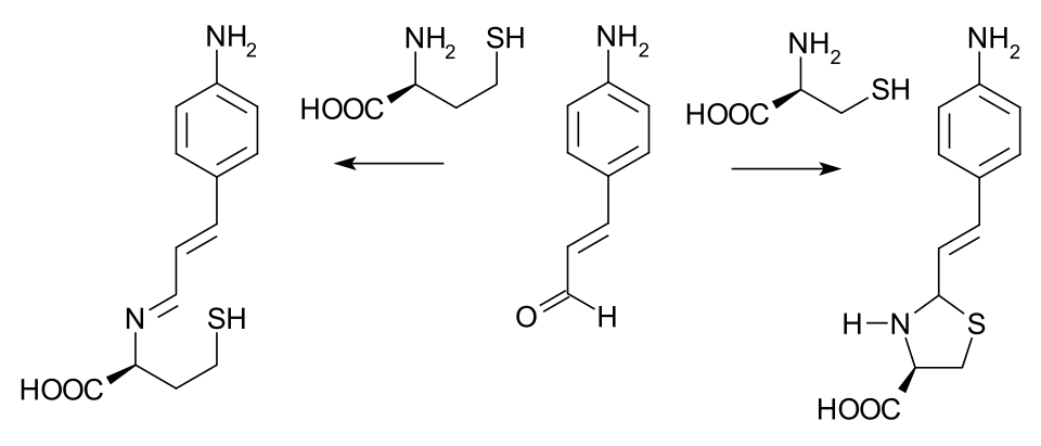 Detection of Homocysteine and Cysteine
