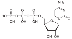 Skeletal formula of cytidine triphosphate as an anion (3- charge)