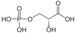 Skeletal structure of 3-Phosphoglyceric acid