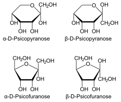 Haworth projection of D-psicose