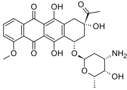 Daunorubicin, an anticancer drug