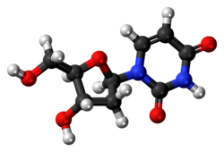 Ball-and-stick model of the deoxyuridine molecule