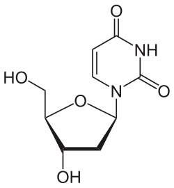 Skeletal formula of deoxyuridine