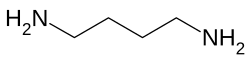 Skeletal formula of putrescine