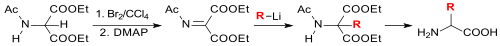conversion of diethyl acetamidomalonate