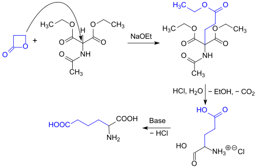 synthesis of rac-Glu