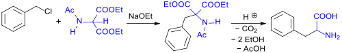 synthesis of rac-phenylalanine