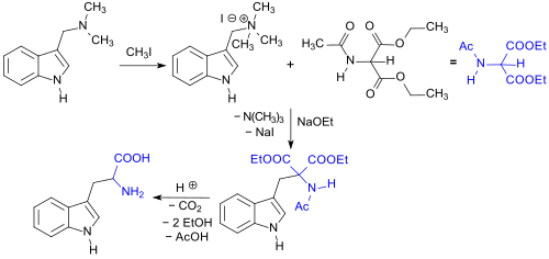 synthesis of rac-Trp