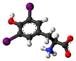 Ball-and-stick model of the diiodotyrosine molecule as a zwitterion