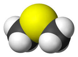 Spacefill model of dimethyl sulfide