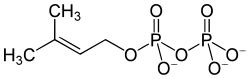 Skeletal formula