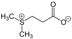 Skeletal formula of dimethylsulfoniopropionate