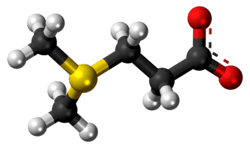Ball-and-stick model of the dimethylsulfoniopropionate zwitterion