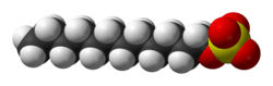 Space-filling model of the dodecyl sulfate ion