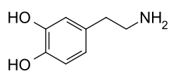 Chemical diagram of the structure of a dopamine molecule.