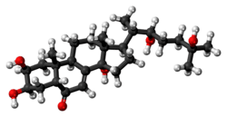 Ball-and-stick model of the ecdysone molecule