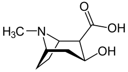 Semi-skeletal formula of ecgonine