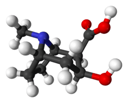 Ball-and-stick model of the ecgonine molecule