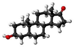 Ball-and-stick model of the epiandrosterone molecule