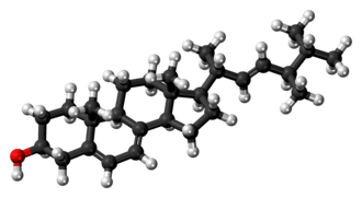 Ball-and-stick model of ergosterol
