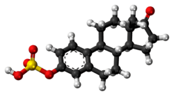 Space-filling model of the estrone sulfate molecule