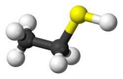 Ball-and-stick model of the ethanethiol molecule