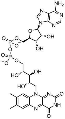 Stereo, Kekulé, skeletal formula of FAD