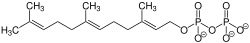 Skeletal formula