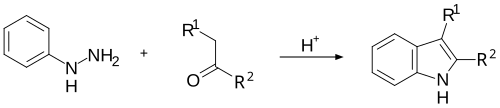 The Fischer indole synthesis
