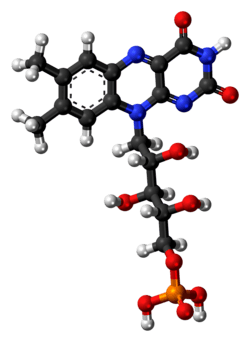 Ball-and-stick model of the flavin mononucleotide molecule