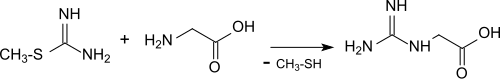 GAA via S-Meisothiourea