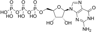 Skeletal formula of guanosine triphosphate