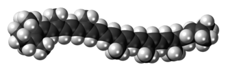Space-filling model of the γ-carotene molecule