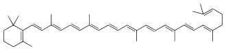 Skeletal formula of γ-carotene