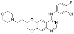 Gefitinib for treatment of non-small-cell lung carcinoma.