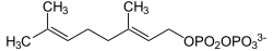Skeletal formula