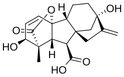 Gibberellic acid (GA3)