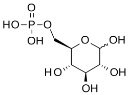 2D representation of the chemical structure of Q36461529.