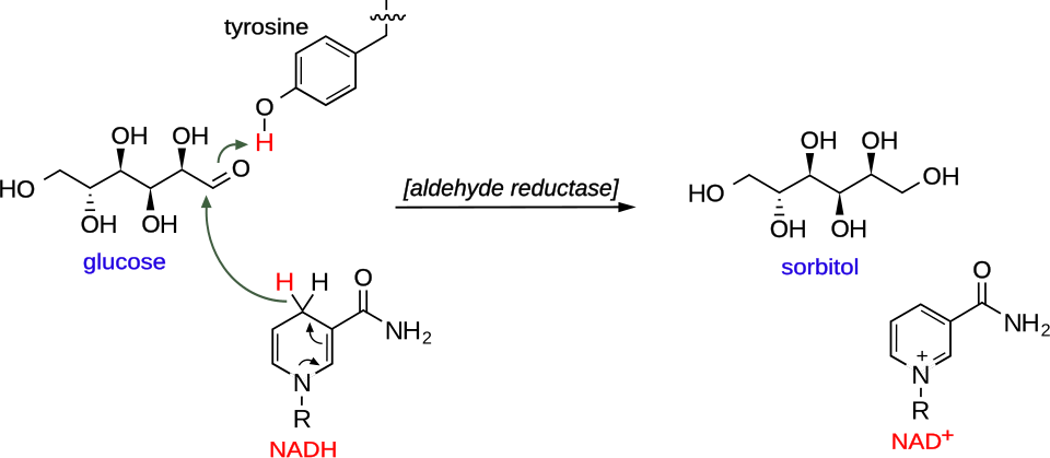 Mechanism of glucose aldehyde reduction into sorbitol